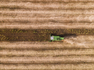 Serbien, Vojvodina, Mähdrescher auf einem Weizenfeld, Luftaufnahme - NOF00024