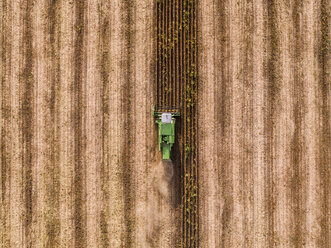 Serbia, Vojvodina, Combine harvester on a wheat, aerial view - NOF00025