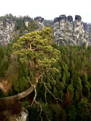 Deutschland, Sachsen, Sächsische Schweiz, Region Bastei - JTF00949