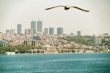 Asien, Türkei, Istanbul, Besektas, Bosporus, Dolmabahce-Palast, fliegender Vogel im Vordergrund - TAMF00972