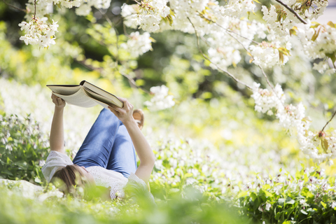 Woman reading book in grass under tree with white blossoms stock photo