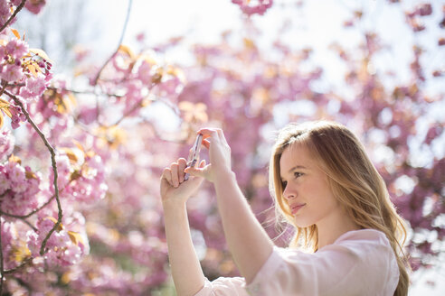 Frau fotografiert rosa Blüten am Baum - CAIF19209