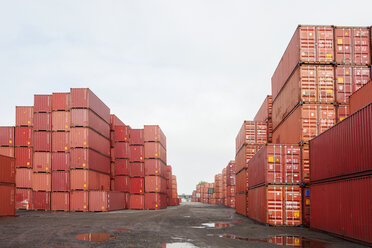 Frachtcontainer im Handelsdock - CAVF09756