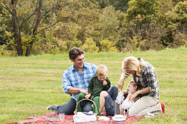 Glückliche Familie beim Picknick auf einer Wiese - CAVF10336