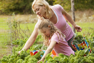 Mutter und Tochter bei der Gemüseernte - CAVF10339