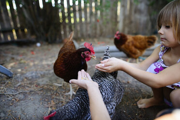 Sisters feeding hens on farm - CAVF10368