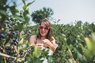 Woman wearing sunglasses while picking blueberries at farm during summer - CAVF10464