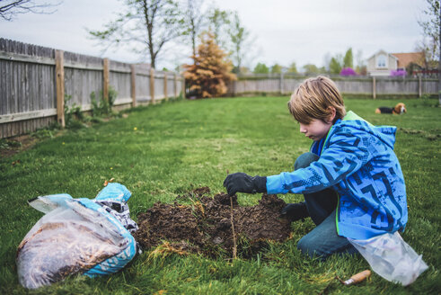 Seitenansicht eines Jungen bei der Gartenarbeit, während er im Garten kniet, mit einem Hund im Hintergrund - CAVF10496