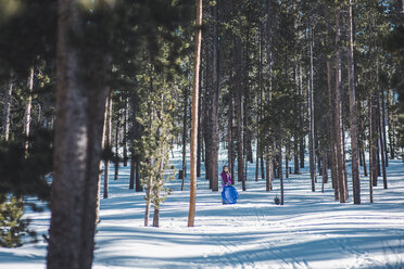 Blick aus mittlerer Entfernung auf ein Mädchen, das einen Plastikschlitten hält und auf einem verschneiten Feld inmitten von Bäumen steht - CAVF10509