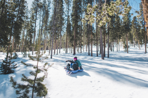 Mutter und Sohn rutschen auf schneebedecktem Feld gegen Bäume, lizenzfreies Stockfoto