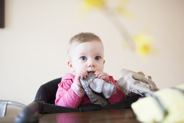 Boy with clothes in mouth looking away while sitting on high chair at home - CAVF10525