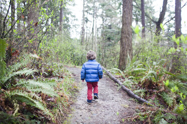 Rückansicht eines Jungen, der auf einem unbefestigten Weg inmitten von Bäumen im Wald läuft - CAVF10528