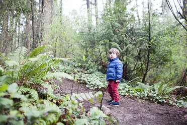 Porträt eines Jungen, der auf einem unbefestigten Weg inmitten von Bäumen im Wald steht - CAVF10529