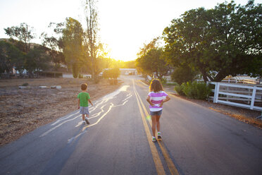 Rear view of sibling walking on road - CAVF11004