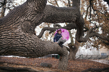 Porträt eines Mädchens, das einen Regenschirm hält und auf einem Zweig im Park sitzt - CAVF11084