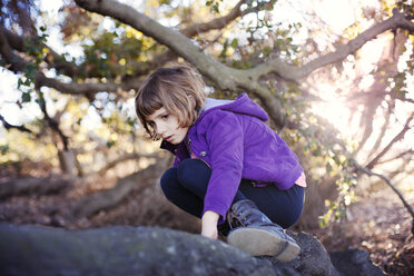 Girl climbing on fallen tree in forest - CAVF11088