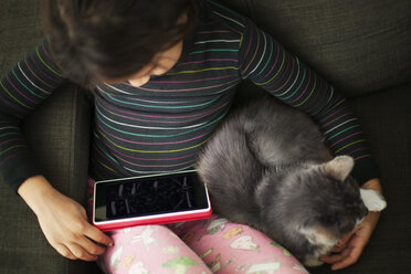 Hohe Winkel Ansicht von Mädchen mit Tablet-Computer, während mit Katze auf dem Sofa sitzen - CAVF11111