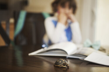 Nahaufnahme einer Schildkröte auf einem Tisch mit einem Mädchen und Büchern im Hintergrund - CAVF11144