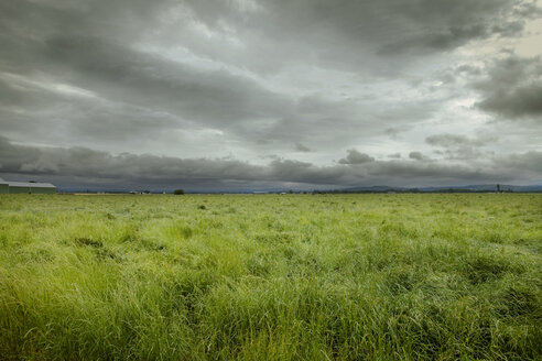Landschaftliche Ansicht eines grasbewachsenen Feldes gegen bewölkten Himmel - CAVF11344