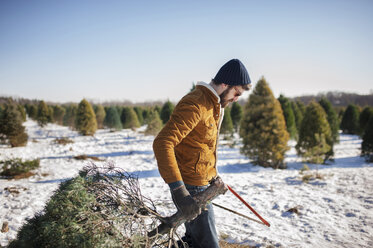 Seitenansicht eines Mannes, der einen Weihnachtsbaum auf einem schneebedeckten Feld trägt - CAVF11446