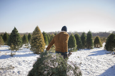 Man carrying Christmas tree on snow covered farm against sky - CAVF11447