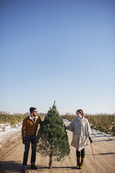 Freunde halten Weihnachtsbaum auf der Straße vor blauem Himmel - CAVF11448