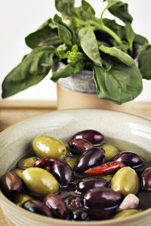 Nahaufnahme von Oliven in einer Schale mit Spinatblättern - CAVF11517