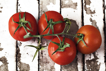 Draufsicht auf Tomaten auf dem Tisch - CAVF11532