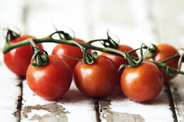 Tomatoes on table - CAVF11533