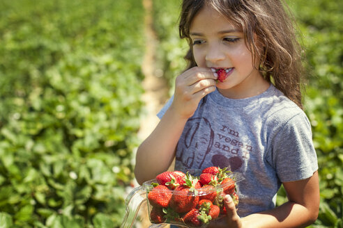 Nahaufnahme eines Mädchens, das auf einem Feld stehend eine Erdbeere isst - CAVF11702