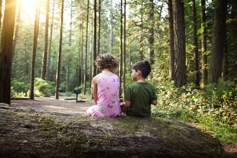 Rückansicht von Kindern, die auf einem umgestürzten Baum im Wald sitzen, lizenzfreies Stockfoto