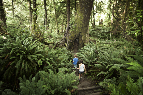 Rückansicht von Kindern, die im Wald spazieren gehen, lizenzfreies Stockfoto