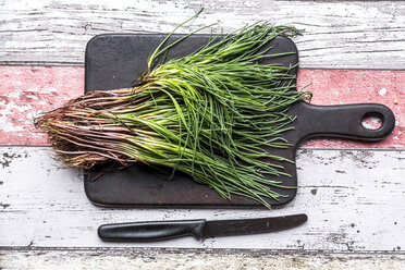 Opposite-leaved saltwort on chopping board - SARF03604