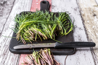 Opposite-leaved saltwort on chopping board - SARF03606