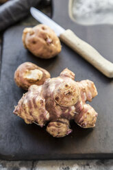 Jerusalem artichoke - SARF03615