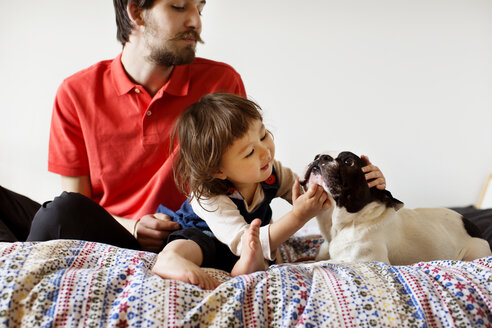 Vater und Tochter spielen mit dem Hund, während sie auf dem Bett an der Wand sitzen - CAVF12069