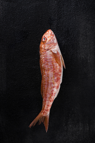 Draufsicht auf Fisch auf schwarzer, strukturierter Oberfläche, lizenzfreies Stockfoto