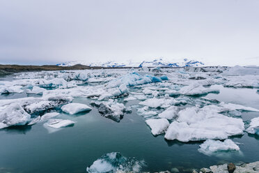 Iceberg floating on Jokulsarlon lagoon - CAVF12384