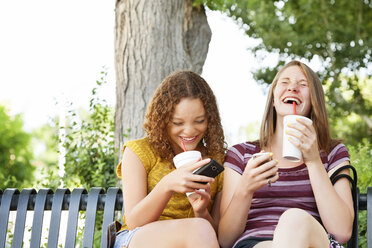 Fröhliche Freunde halten Einwegbecher und Handy, während sie im Park sitzen - CAVF12467