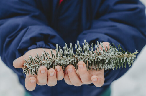 Midsection of boy holding pine twig - CAVF12593