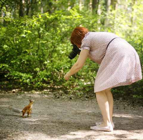 Woman photographing squirrel on field stock photo