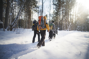 Rückansicht von Wanderern im verschneiten Wald an einem sonnigen Tag - CAVF12885