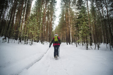 Rear view of hiker with backpack walking in forest during winter - CAVF12890