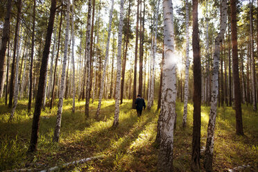 Landarbeiter, der an einem sonnigen Tag inmitten von Bäumen im Wald spazieren geht - CAVF12954