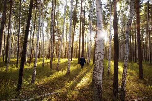 Landarbeiter, der an einem sonnigen Tag inmitten von Bäumen im Wald spazieren geht - CAVF12954