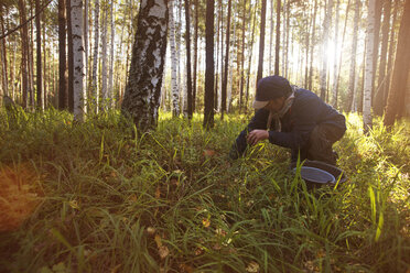 Mann beim Pilzesammeln auf einem Feld im Wald - CAVF12955
