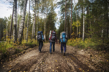 Rear view of male friends carrying backpack while walking on dirt road in forest - CAVF12961