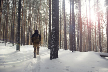 Rückansicht eines Wanderers im schneebedeckten Wald - CAVF12997