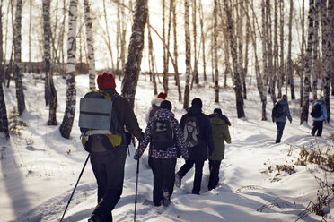 Rückansicht von Wanderern, die im schneebedeckten Wald aufwachen - CAVF13003