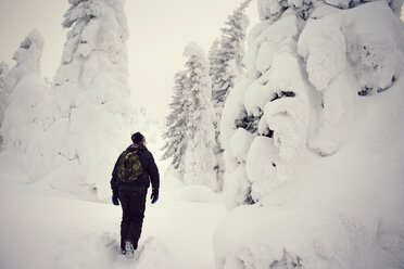 Rückansicht eines Wanderers, der einen Rucksack trägt, während er durch einen schneebedeckten Wald läuft - CAVF13014